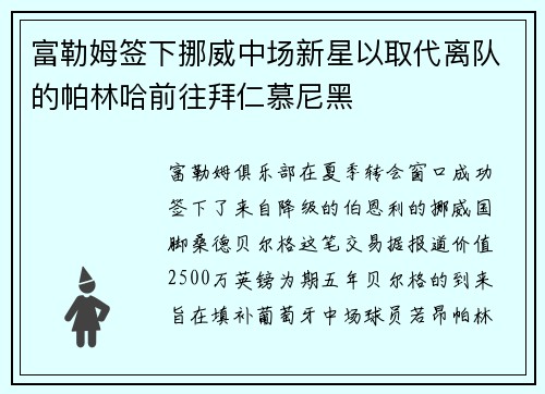 富勒姆签下挪威中场新星以取代离队的帕林哈前往拜仁慕尼黑